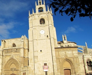  Cattedrale di Palencia 